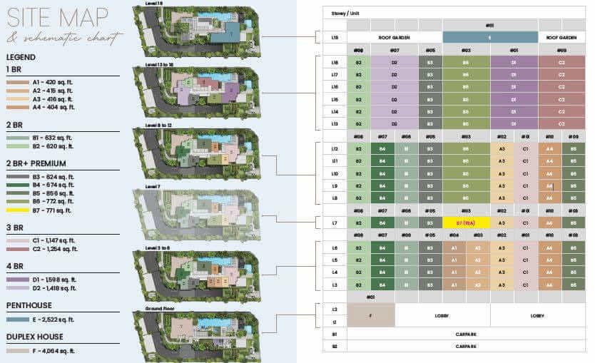 Overall Site plan and distrubution f6W800